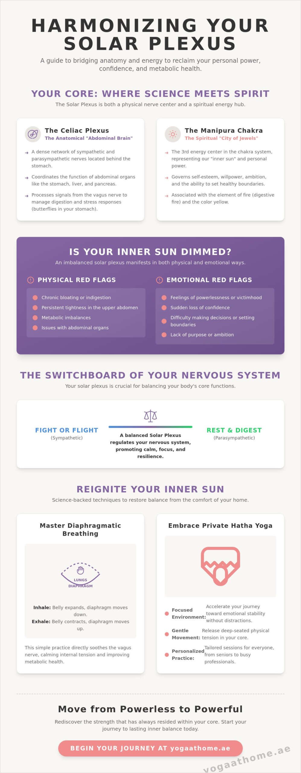 Solar Plexus: A Guide to Balancing Your Inner Sun and Core Energy in 2026