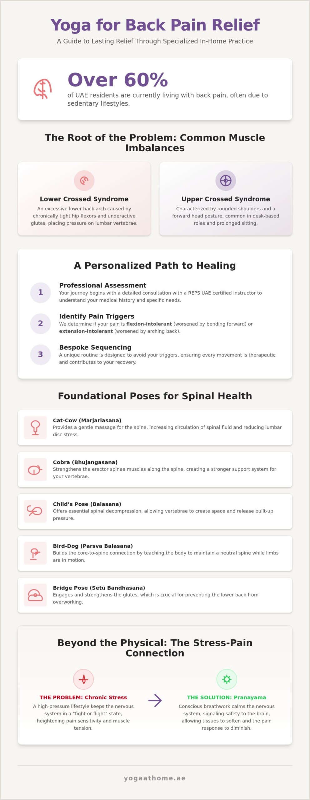 Yoga for Back Pain: 2026 Guide to Relief in the UAE